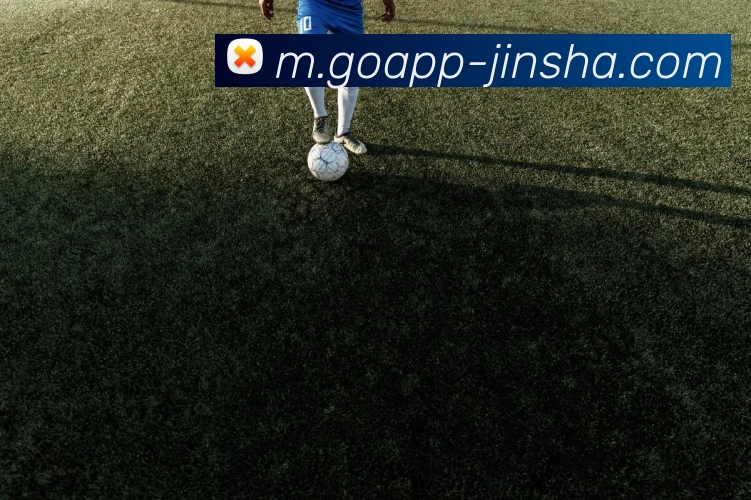 澳门金沙官网APP 体育赛事宣传图